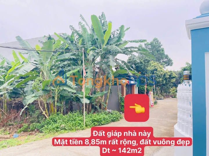 Đất nền Vân Phú, Việt Trì 142m² 1 tỷ - Xây dựng tự do