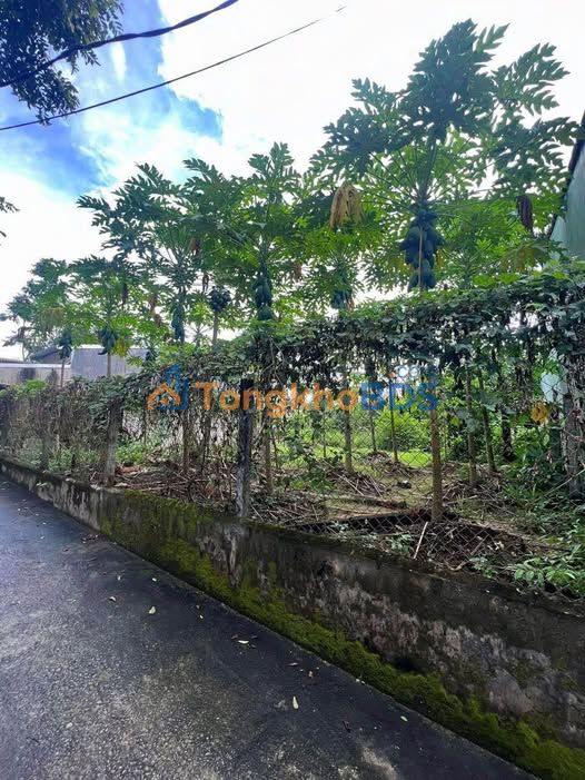 Đất nền Thủy Xuân 200m² giá 1.5 tỷ - Sổ đỏ vuông vức, tiềm năng đầu tư