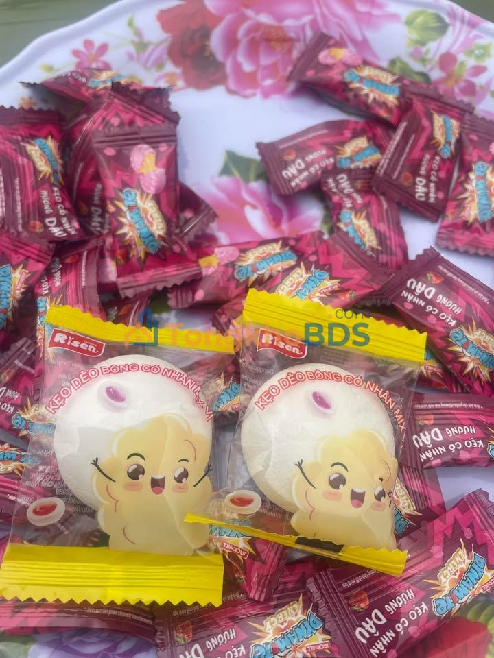 Đất Nền OM2 Riverside View - Bắc Giang - 95m² - Sẵn Sàng Đầu Tư