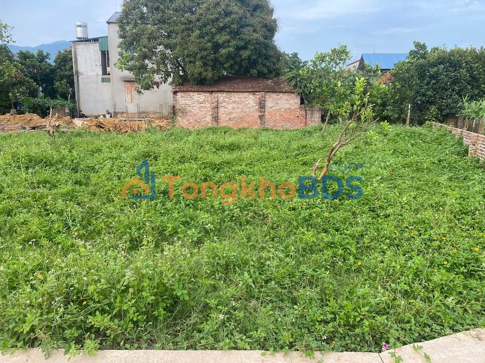 Đất Sóc Sơn 711m² - Sổ Đỏ Sẵn Sàng - Giá Đầu Tư 4.27 Tỷ