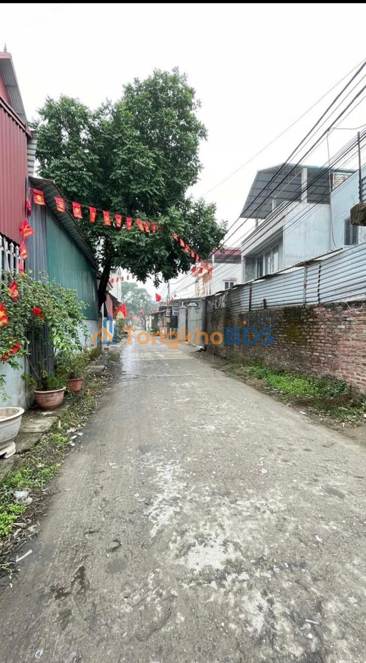 Đất Sóc Sơn 111.8m² - Ngõ Ô Tô Tránh, Giá Tốt Đầu Tư