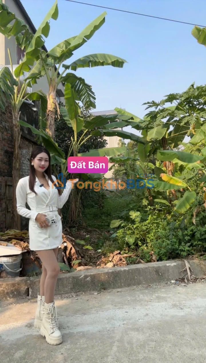 Bán Đất Sóc Sơn 87m² - Sổ Đỏ Vuông Vắn, Giá Đầu Tư Hấp Dẫn