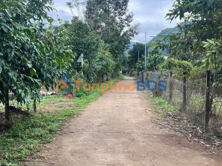 Đất nền Diên Tân - 84m² - Giá 299 triệu - Sổ con công chứng ngay!