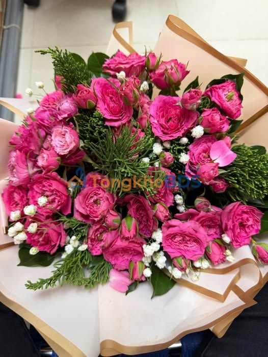 Nhà Mặt Tiền Trương Công Định Vũng Tàu - 9.9 Tỷ, 4 Tầng, Kinh Doanh Đỉnh Cao