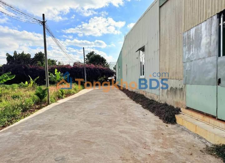 Bán gấp Đất nền An Khê, Gia Lai 79.8m² - Hẻm ô tô, gần chợ Âu Cơ