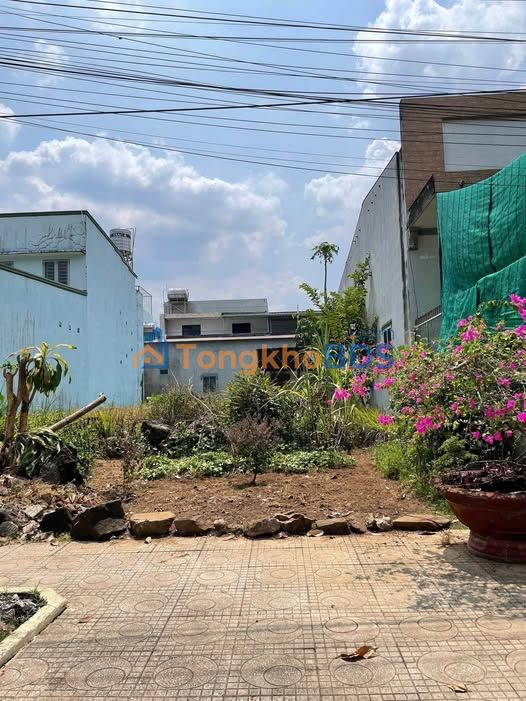 Đất nền mặt tiền Phạm Ngọc Thạch, Tân Phú 132m² - Sổ hồng riêng, giá 2.5 tỷ