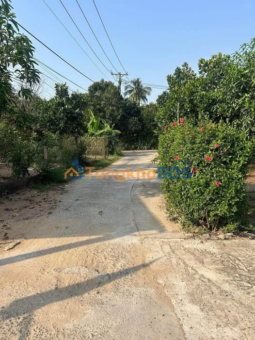 Đất Mặt Tiền Bê Tông Tân Phú 600m² - Sổ Hồng Riêng, Giá 1.5 Tỷ