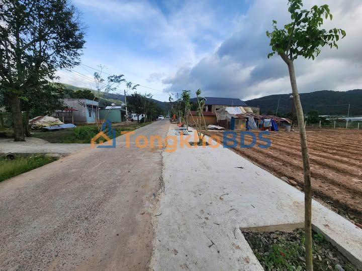 Đất Nền Thị Trấn D'Ran 72m² - Cơ Hội Cuối Cùng Giá Tốt 730 Triệu