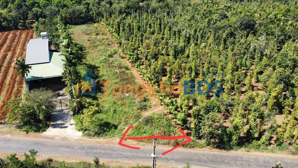 Đất nền Ea Tam Buôn Ma Thuột 820m² 1.45 tỷ - Sổ đỏ