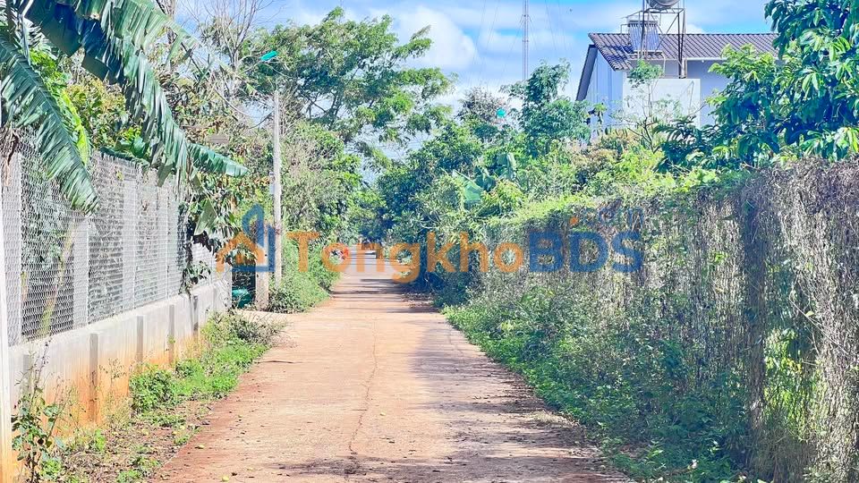 Đất Nguyễn Xuân Nguyên Buôn Ma Thuột 120m² 1,95 tỷ - Sổ đỏ chính chủ