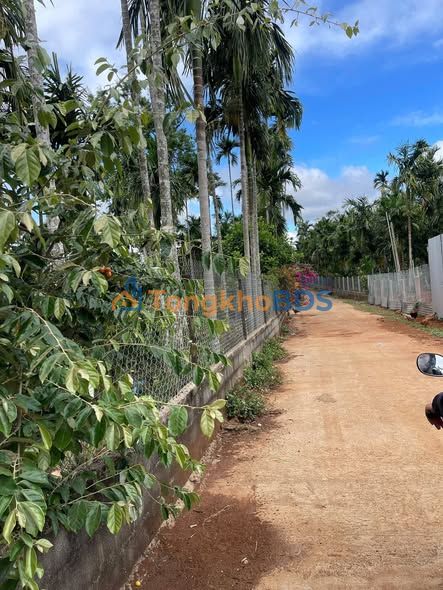 Đất nền Tân Lập Buôn Ma Thuột 130m² - Tiềm năng tăng giá