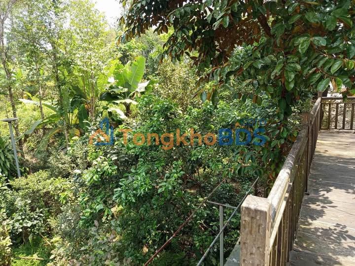 Nhà Vườn Khải Định Huế - 500m² View Công Viên, Giá Chỉ 5 Triệu/Tháng