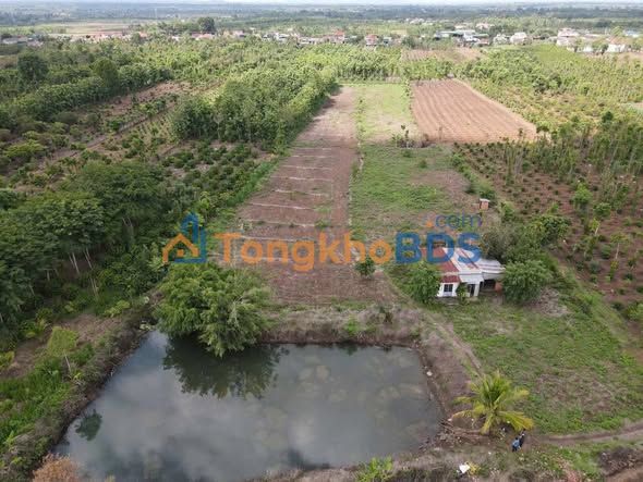 Đất vườn Buôn Ma Thuột 12.000m² 4.5 tỷ - Sinh thái xanh