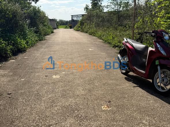 Đất Hòa Khánh Buôn Ma Thuột 91m² - Hạ tầng hoàn thiện