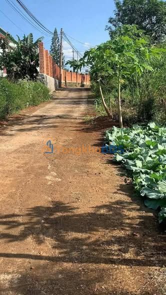 Đất Khánh Xuân 140m² 720tr - Đất thổ cư 100% pháp lý rõ ràng