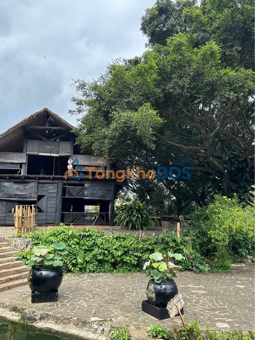 Đất nền Ea Bar Buôn Đôn 250m² 550 triệu - Sổ đỏ chính chủ