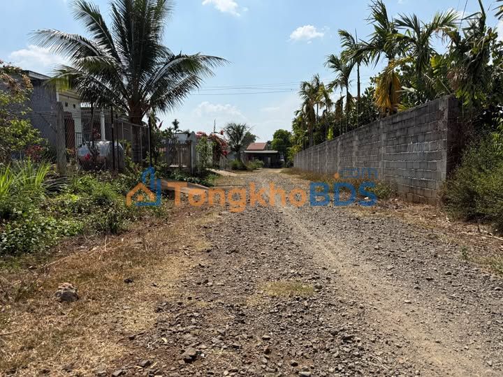 Đất Nền Thôn 8, BMT - 790 Triệu, Sổ Đỏ Sẵn Sàng