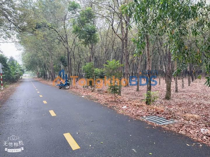 Bán đất 135m² Bến Cát, Bình Dương - Sổ riêng, giá 1.2 tỷ, gần KCN