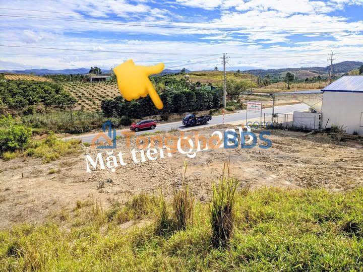 Đất QL28B Đà Lạt 684m² 2.9 tỷ – Sổ đỏ chính chủ