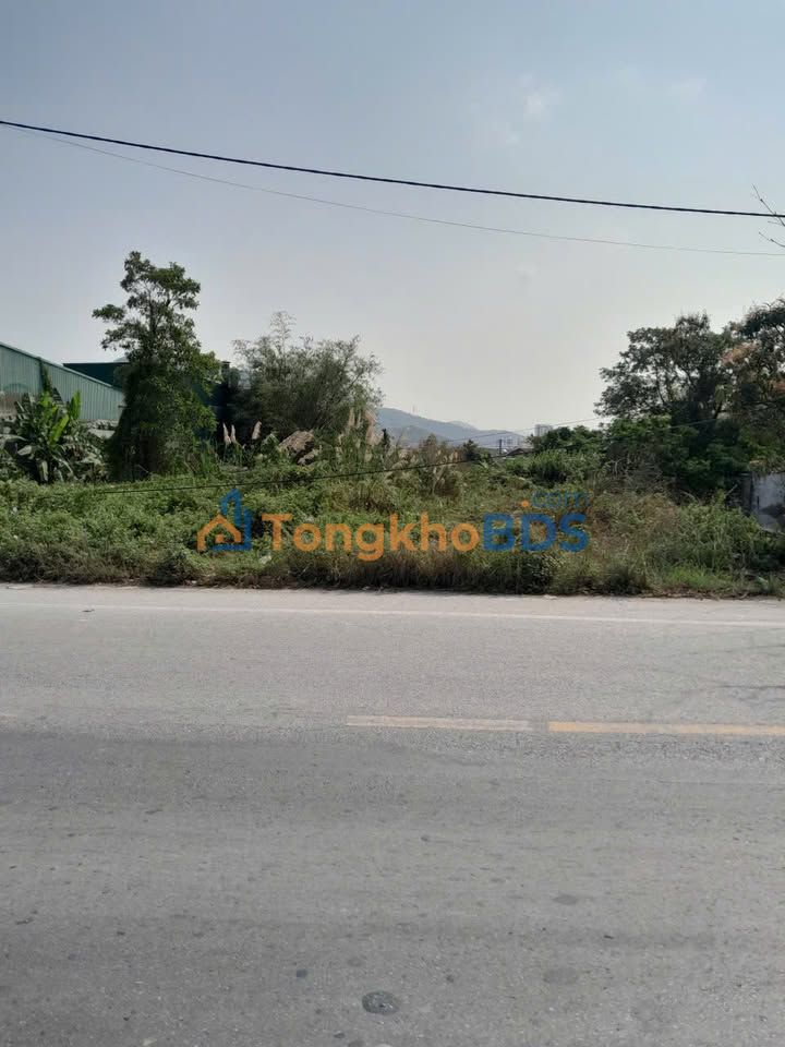 Đất Mặt Tiền 16.7m Bạch Đằng, Uông Bí - 435m² Giá 7 Tỷ