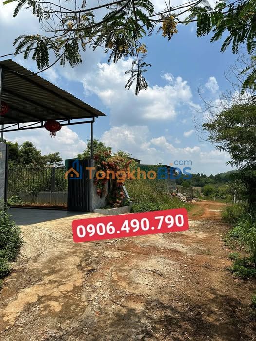 Bán Đất Nền Trung Tâm Gia Nghĩa 300m² - Sổ Đỏ Chính Chủ, Giá 650 Triệu