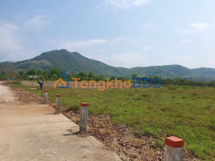 Đất nền Diên Khánh - Sổ đỏ riêng 2 lô 1290m², giá từ 500 triệu, tiềm năng sinh lời cao