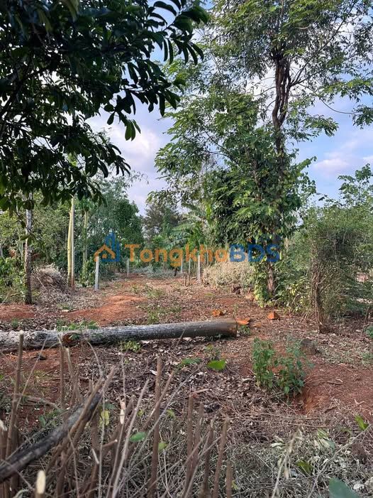 Đất nền Buôn Ma Thuột - 140m² Phường Eakao, Hướng Nam - Gần Đường Tránh Hồ Chí Minh