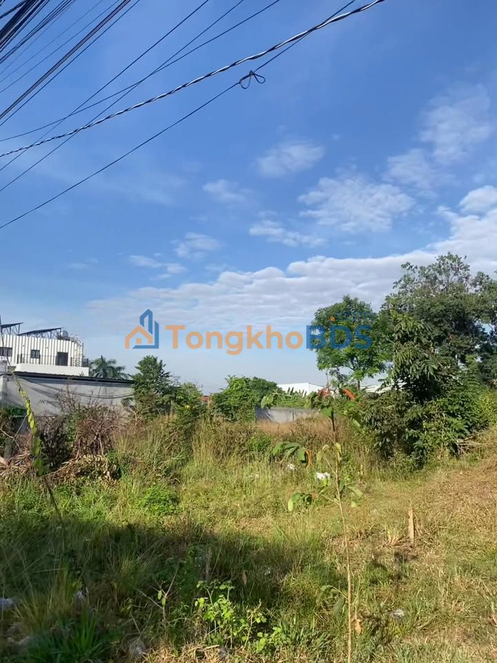 Bán Đất Vàng 2650m² Mặt Tiền Đường N, Thủ Dầu Một - Đầu Tư Sinh Lời Vượt Trội