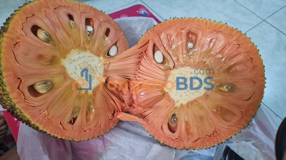 Đất Nền 180m² Bến Cát, Bình Dương - Sổ Hồng Sẵn Sàng