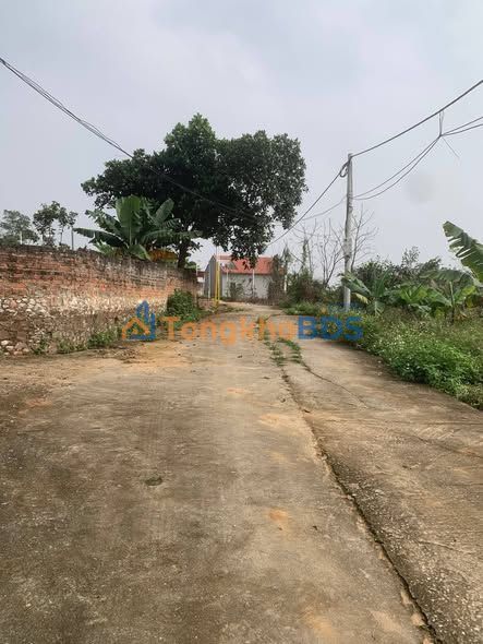 Đất Nền Văn Phong, Tiên Du, Bắc Ninh - 81.7m² - Giá 8xx Triệu, Sổ Đỏ Sẵn Sàng