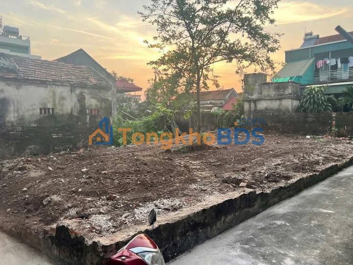 Đất Lô Góc 123.3m² Thôn Trung Lập, Phú Xuyên - Sẵn Sàng Đầu Tư