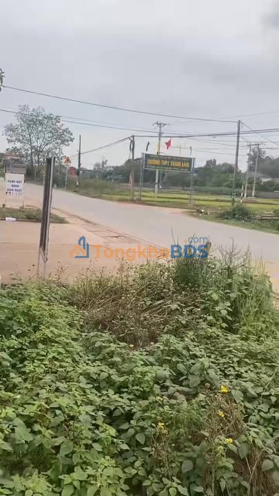 Đất Nền QL37 Lạng Giang 81m² - Vị Trí Vàng Kinh Doanh, Giá Chỉ 2 Tỷ