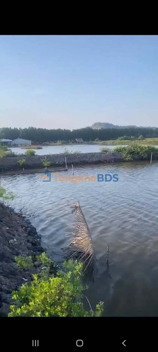 Bán 80.000m² Đất Nuôi Tôm Kiên Lương, Kiên Giang - Giá 55 Triệu/1000m²