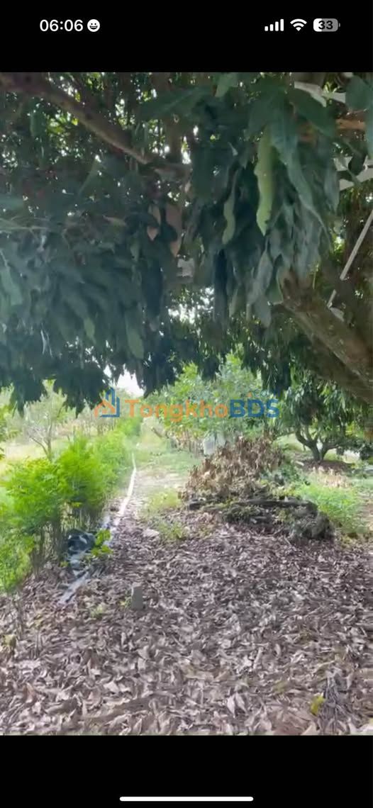 Bán Gấp Đất Vườn 8620m² Mặt Tiền 30m Đường Lộ 4m, Cần Thơ - Giá 6 Tỷ