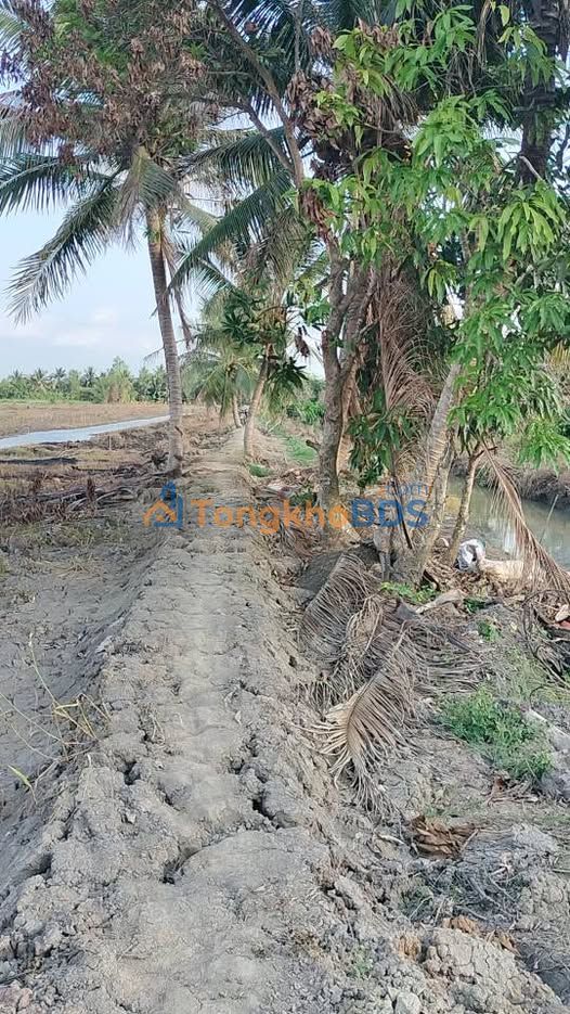 Đất Nền Cần Thơ 2400m² Mặt Tiền QL 61C - Giá Đầu Tư 3.84 Tỷ