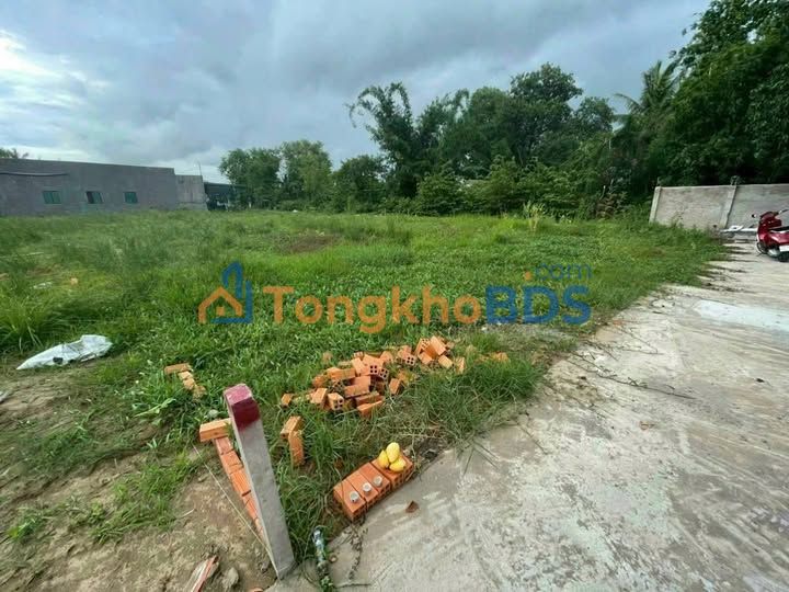 Bán Gấp Đất Thổ Cư 300m² Phước Vân, Cần Giuộc - Giá 900 Triệu