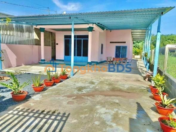 Bán Gấp Đất Vườn Mít 3200m² Sổ Riêng Giá 299 Triệu - TP.HCM