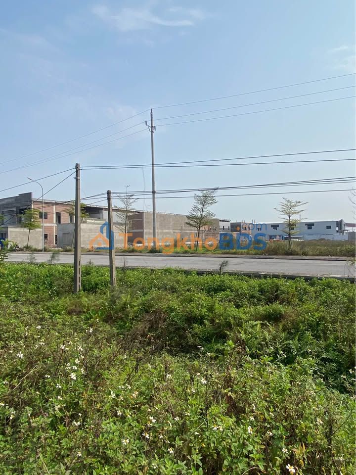 Đất Vàng Tiền Hải - 180m² Cạnh KCN Nam Hà, Sẵn Sàng Đầu Tư