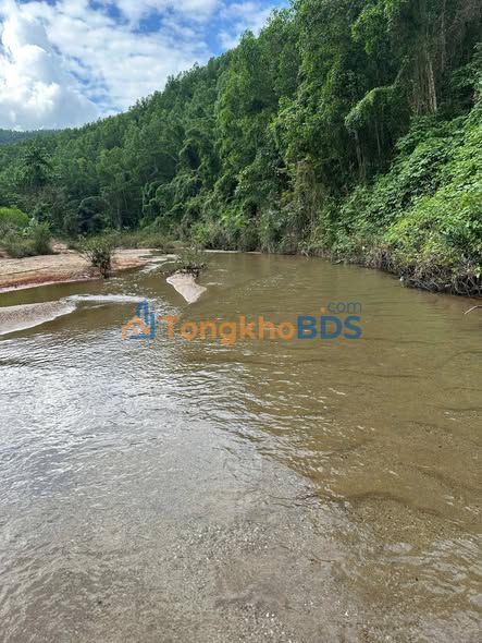 Bán Gấp Đất Rừng 5ha Hòa Liên, Đà Nẵng - Tiềm Năng Farm/Trang Trại