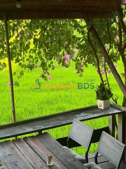 Đất Nền Quảng Phú 700m² - Sổ Đỏ Sẵn Sàng, Giá Đầu Tư 2 Tỷ