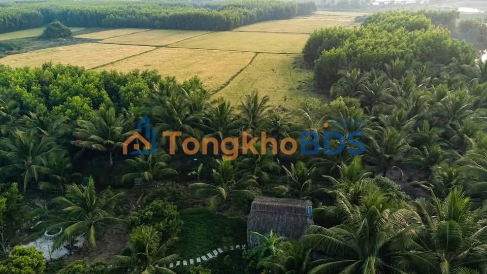 Đất Nền 700m² Quảng Phú, TT Huế - Giá Đầu Tư 2.x Tỷ