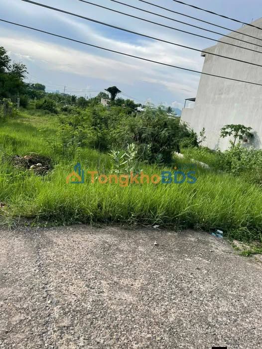 Đất thổ cư 113m² mặt tiền Phú Long Củ, Phan Thiết - Giá 63 tỷ