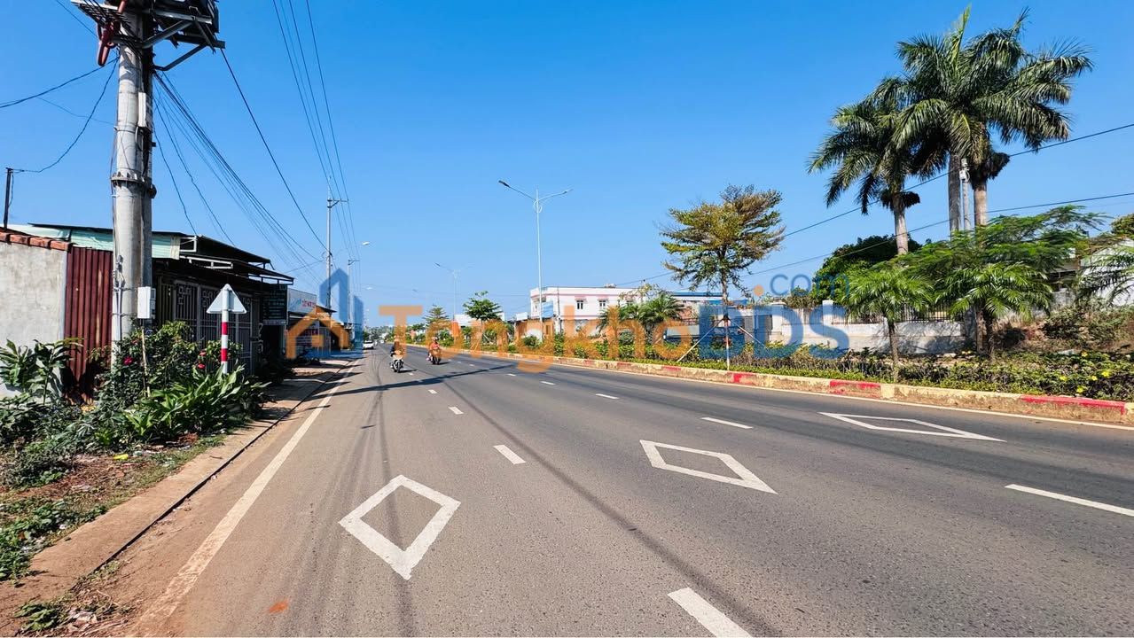 Bán Đất Mặt Tiền Nguyễn Chí Thanh Pleiku 320m² - Kinh Doanh Đa Ngành