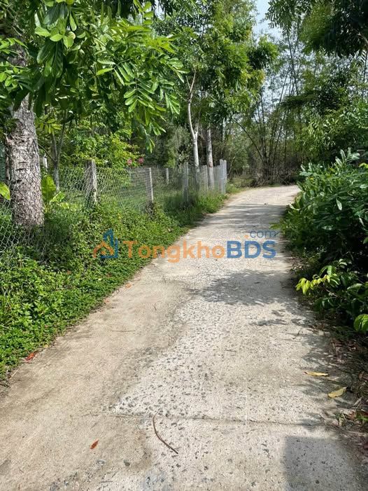 Bán Đất Tam Thăng 154m² (7x22m) Sổ Hồng Sẵn Sàng - Giá 690 Triệu