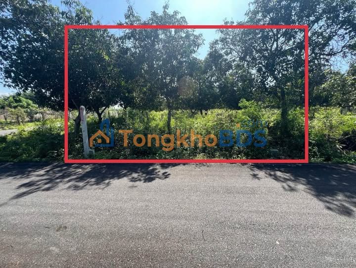 Đất Sổ Hồng Riêng Xã Suối Tiên, Diên Khánh - 68.5m² Mặt Tiền Đường Nhựa Giá Tốt