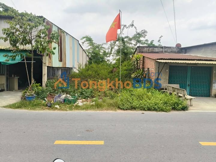 Đất Nền Mặt Tiền Láng Cẩm, Đức Hòa: 300m² Sổ Hồng Riêng, Giá 3.5 Tỷ TL