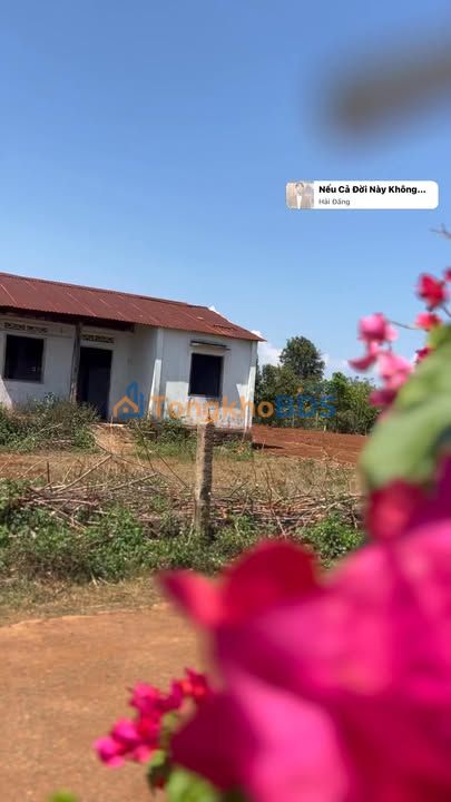 Đất Tặng Nhà Nhỏ Xã Ea Drông, Buôn Hồ 300m² - Giá Tốt 499 Triệu