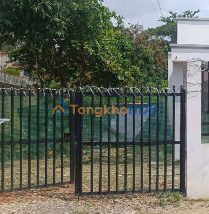 Đất nền Chánh Nghĩa - Thủ Dầu Một 296m² (Nở hậu) - Gần Chợ Võ Minh Đức