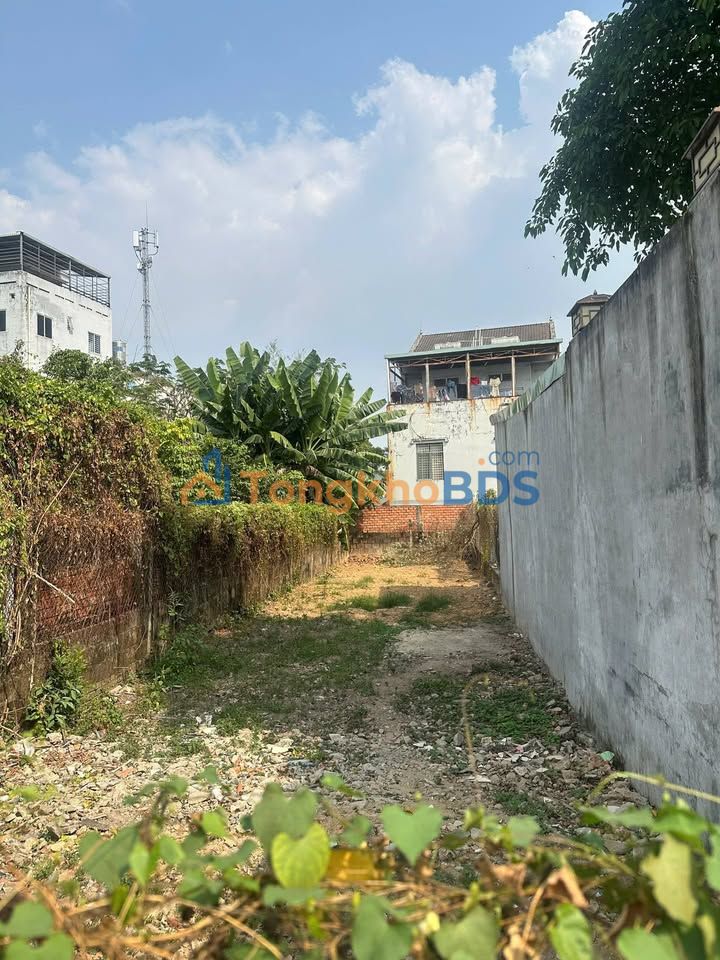 Đất Mặt Tiền Nguyễn Văn Lộng - Thủ Dầu Một 129m² - Sổ Đỏ Sẵn Sàng