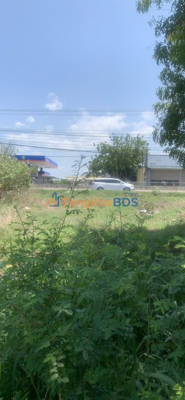 Đất Nền 207m² Gần Showroom Nam Miền Trung, Phan Rang - Giá Tốt 1.35 Tỷ